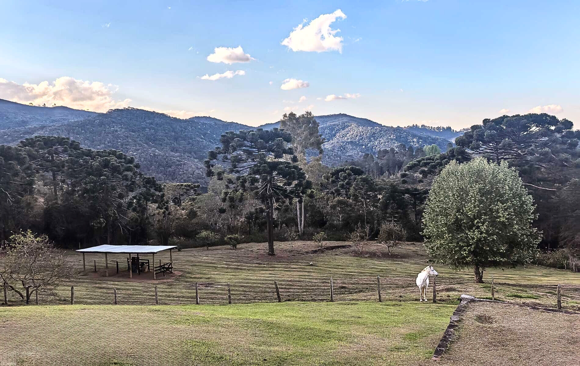 Sítio, 4 quartos, 12 hectares - Foto 29