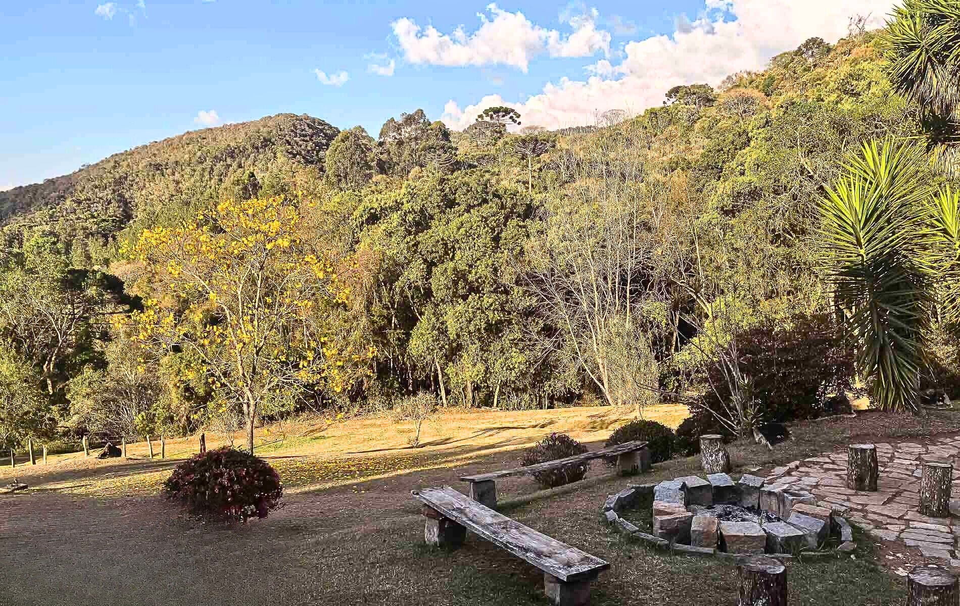 Sítio, 4 quartos, 12 hectares - Foto 35