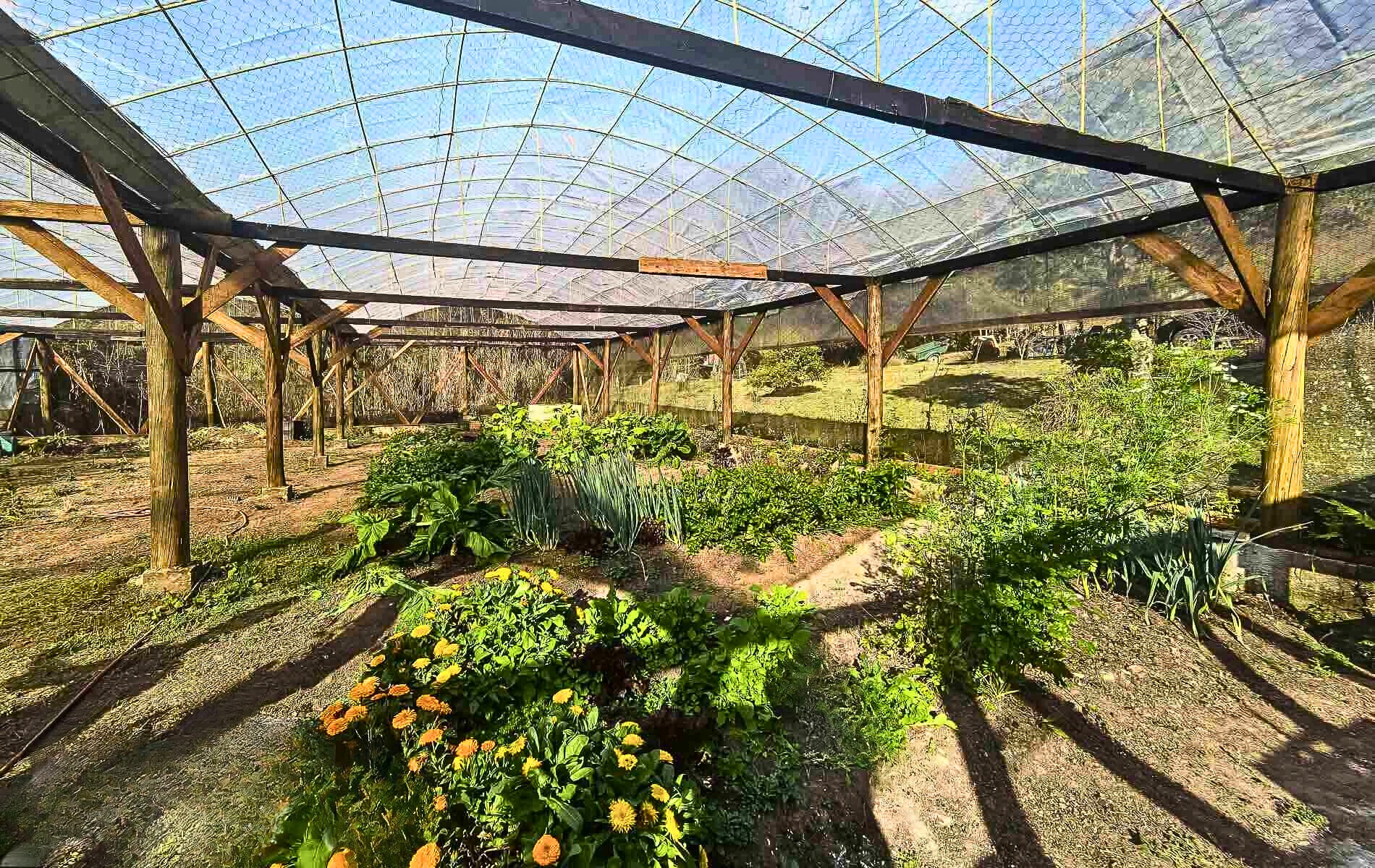 Sítio, 4 quartos, 12 hectares - Foto 33