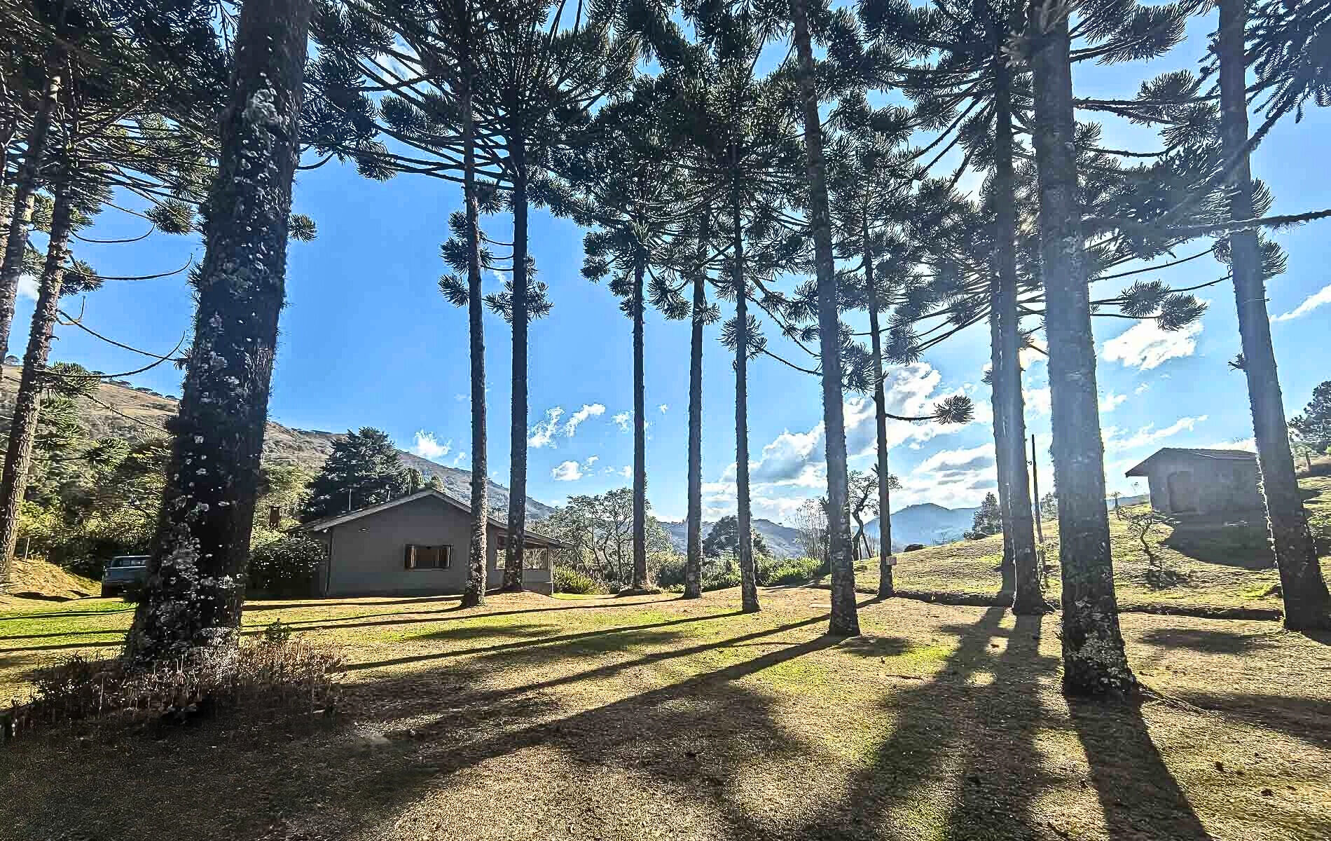 Sítio, 4 quartos, 12 hectares - Foto 32