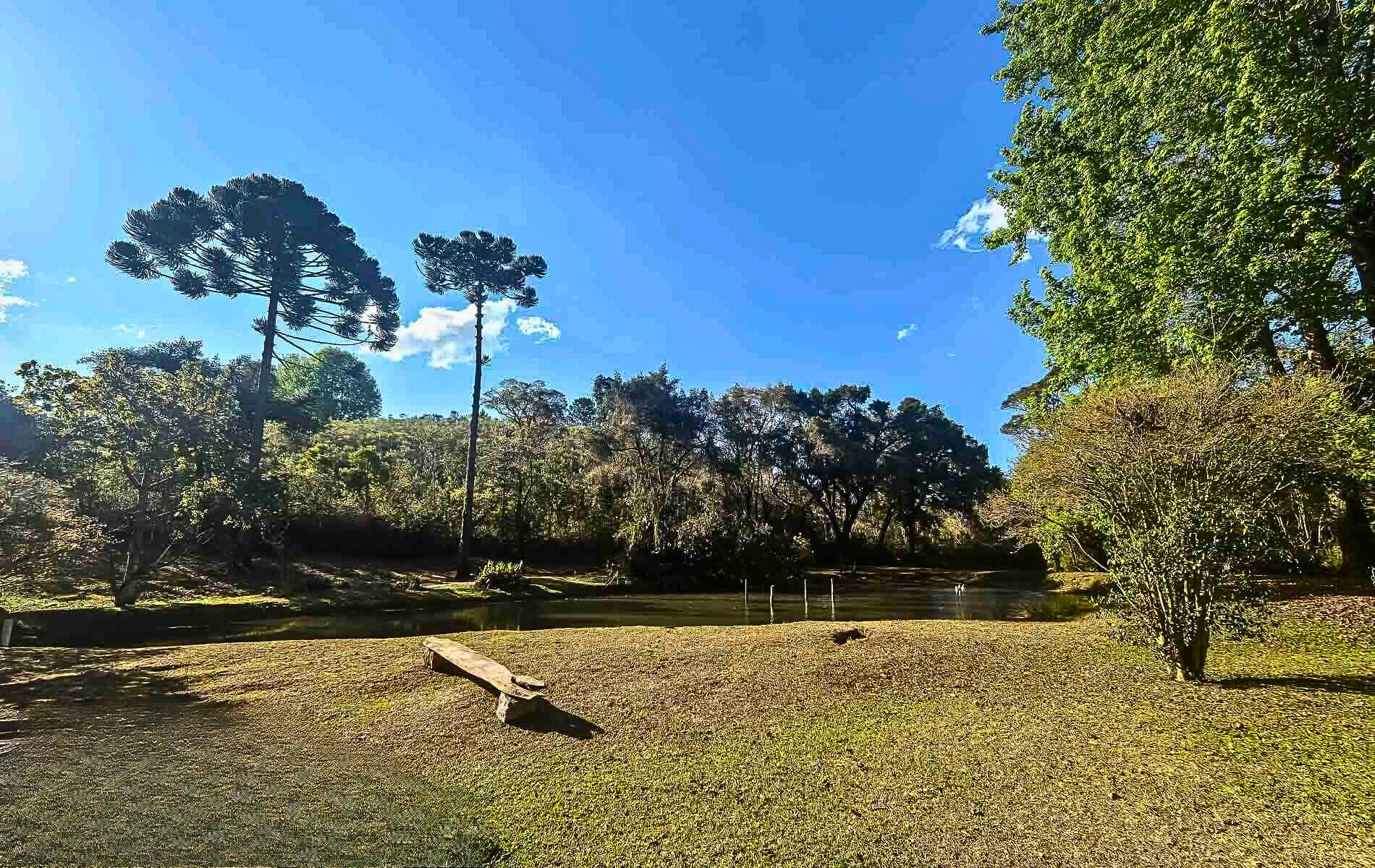 Sítio, 4 quartos, 12 hectares - Foto 37