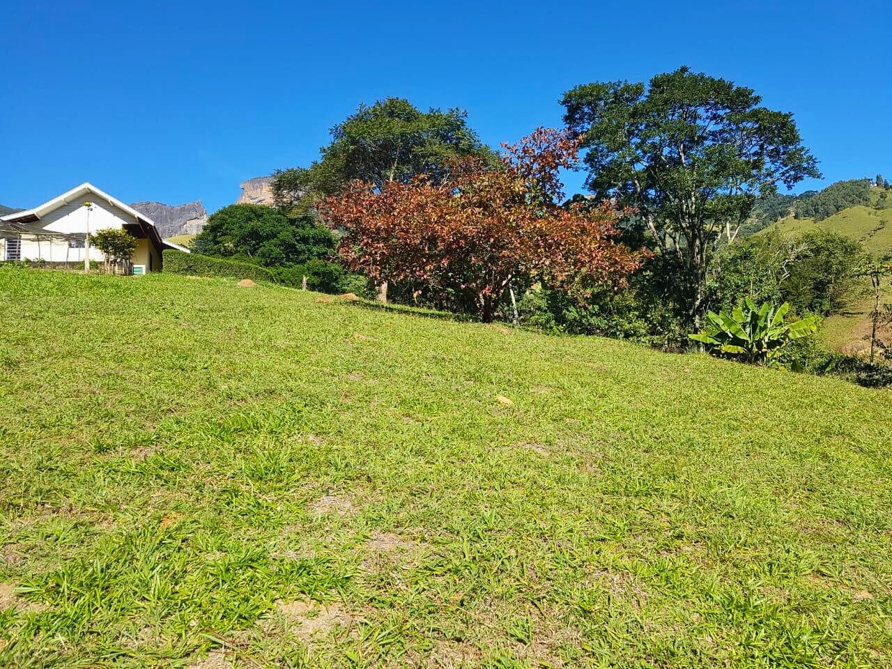 Sítio, 2 quartos, 3 hectares - Foto 6