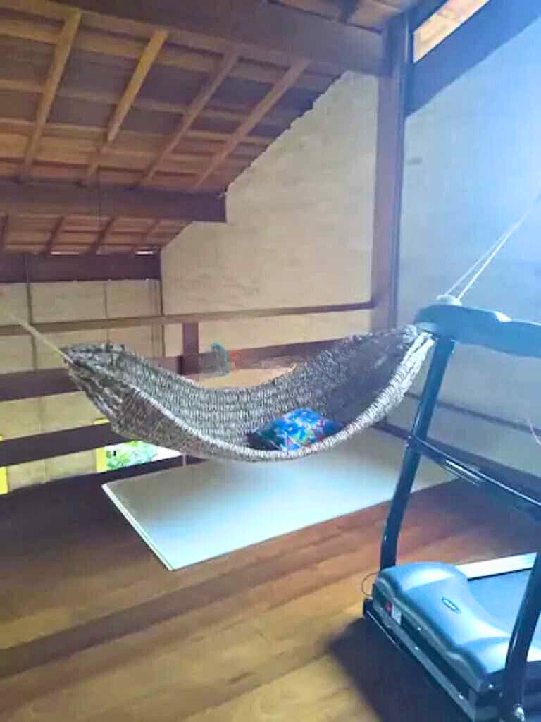 Casa, 2 quartos, 350 m² - Foto 13