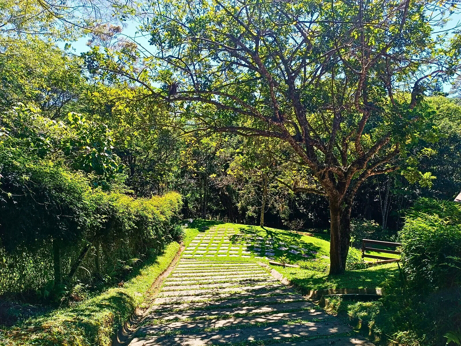 Casa, 3 quartos, 320 m² - Foto 27