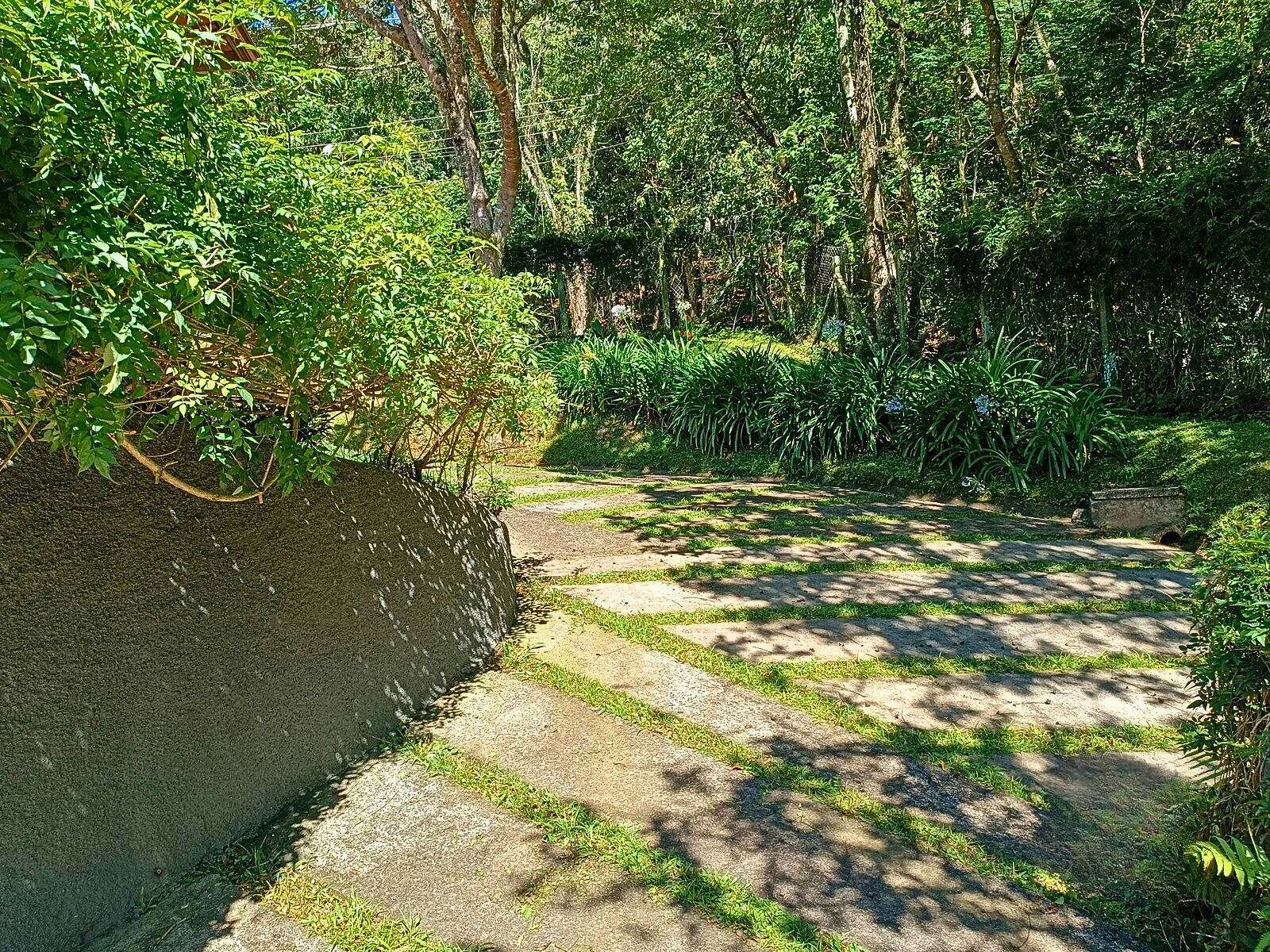 Casa, 3 quartos, 320 m² - Foto 28