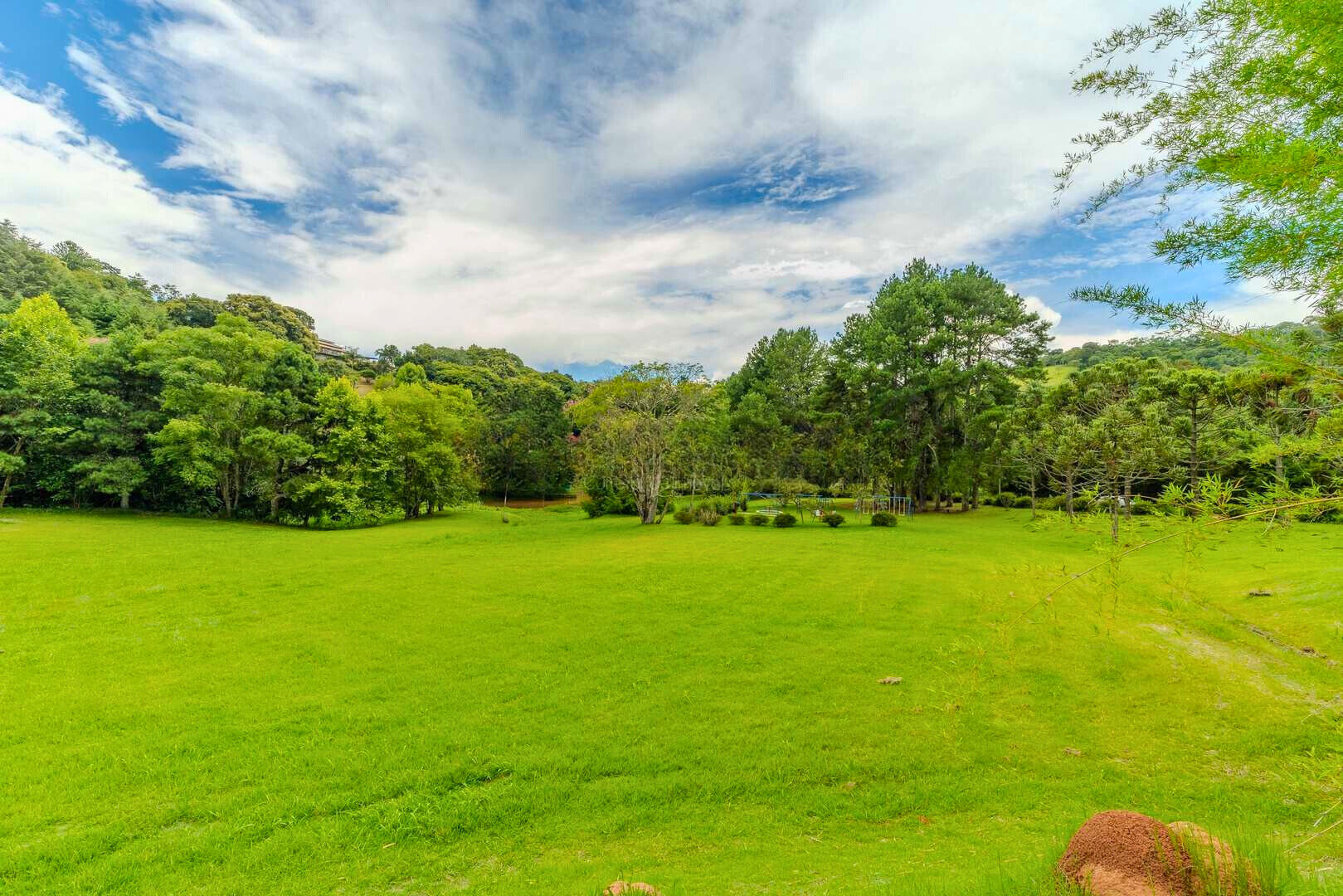 Casa, 4 quartos, 265 m² - Foto 48