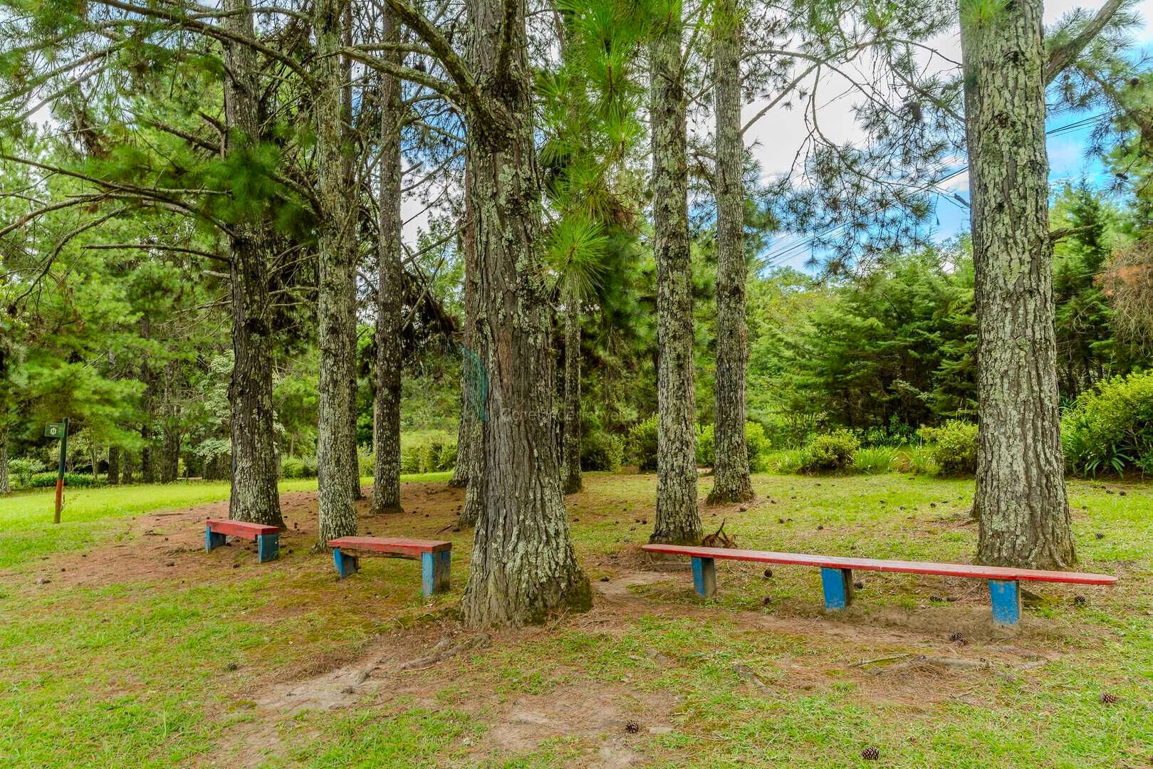 Casa, 4 quartos, 265 m² - Foto 50