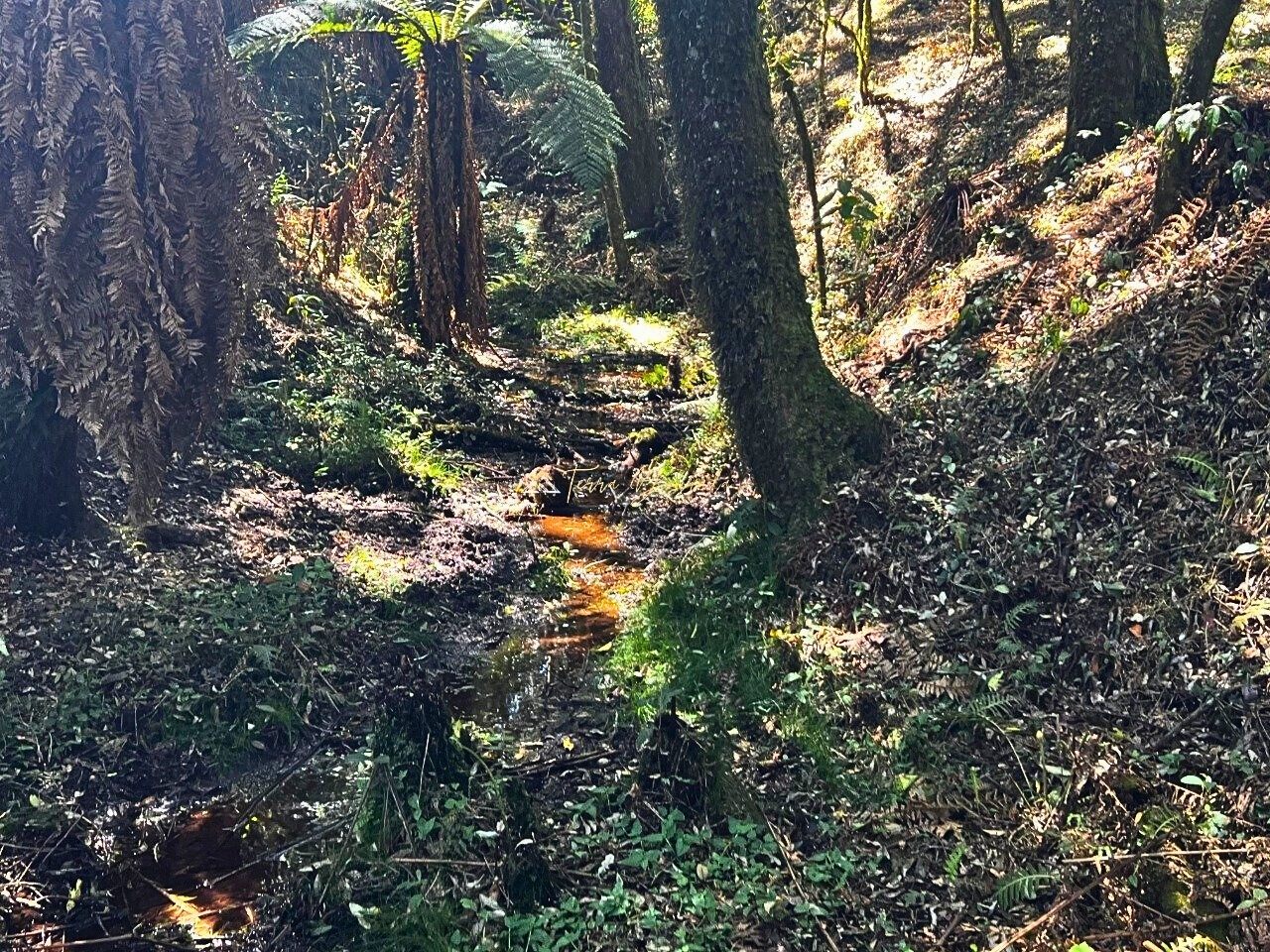 Casa, 3 quartos, 700 m² - Foto 22