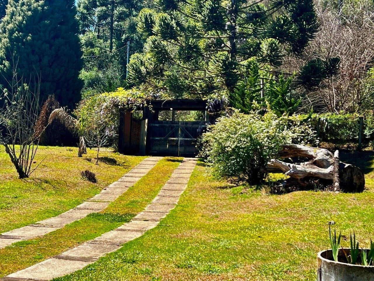 Casa, 3 quartos, 700 m² - Foto 12