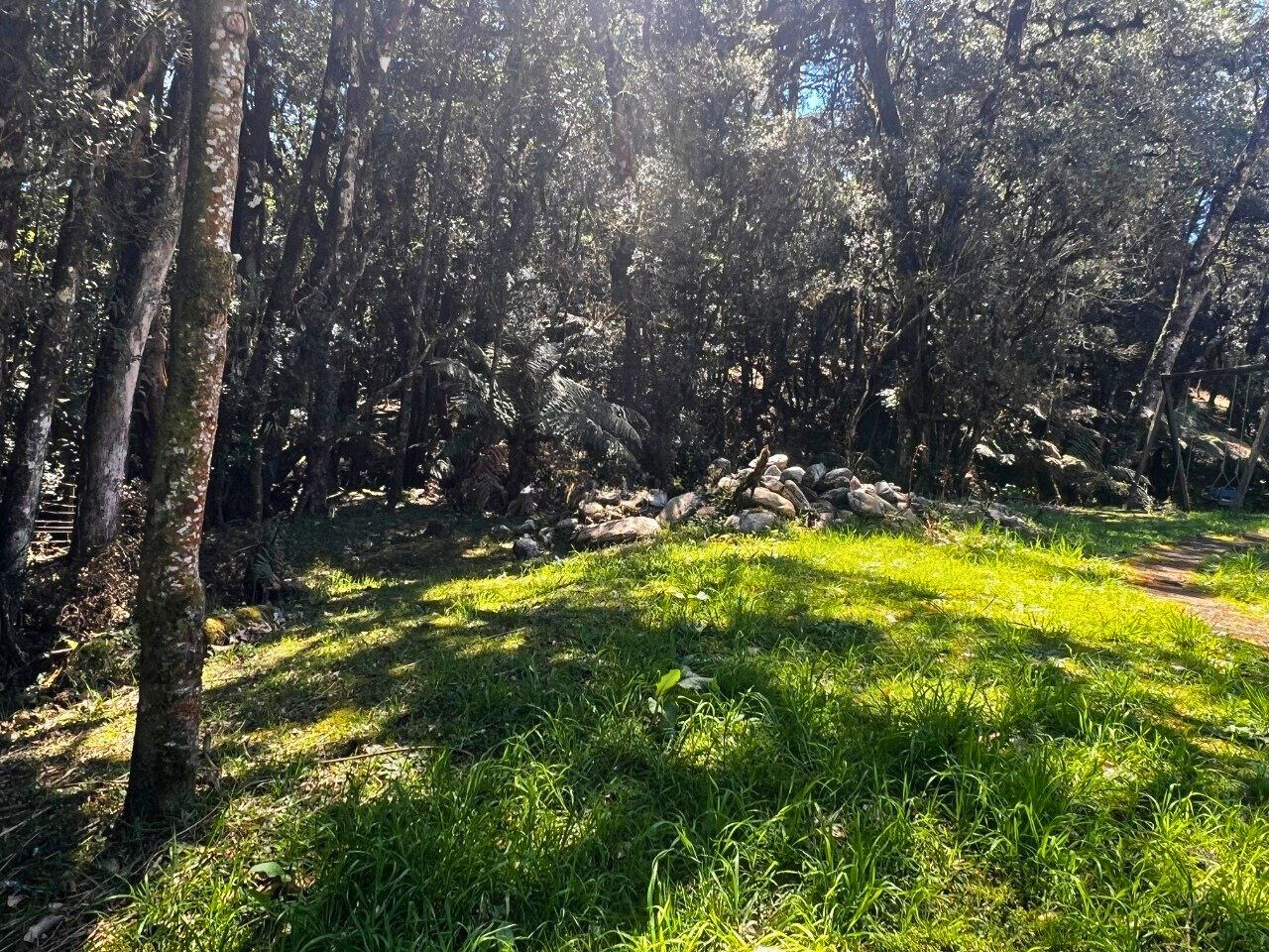 Casa, 3 quartos, 700 m² - Foto 21