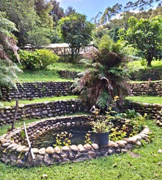 Casa, 3 quartos, 700 m² - Foto 15