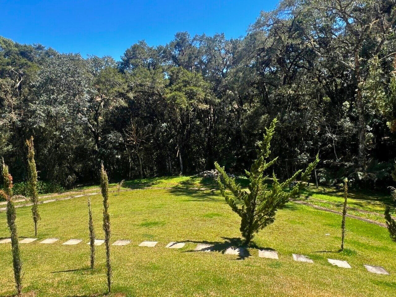 Casa, 3 quartos, 700 m² - Foto 14