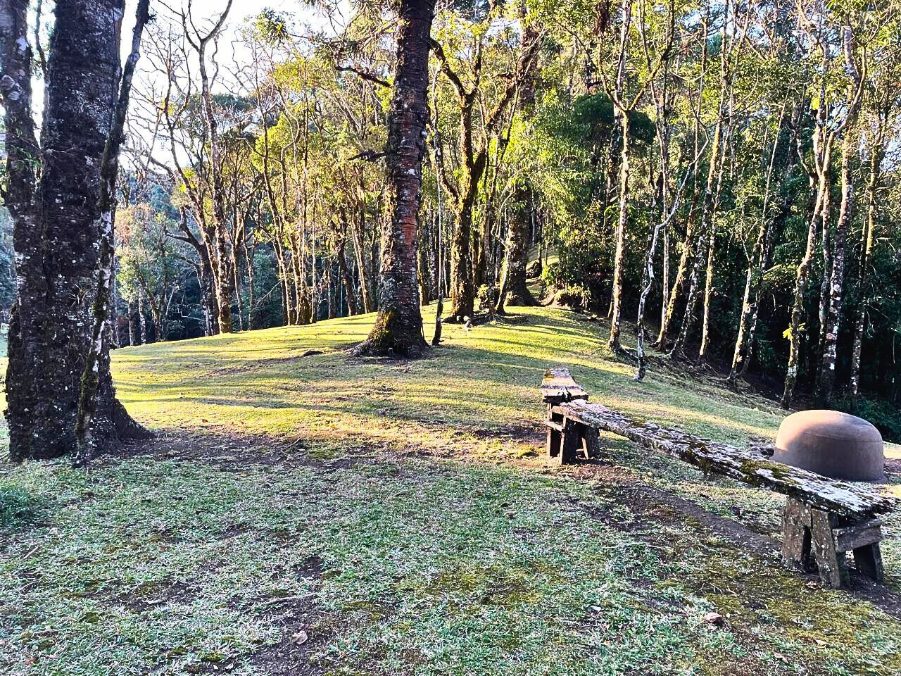 Casa, 4 quartos, 250 m² - Foto 12