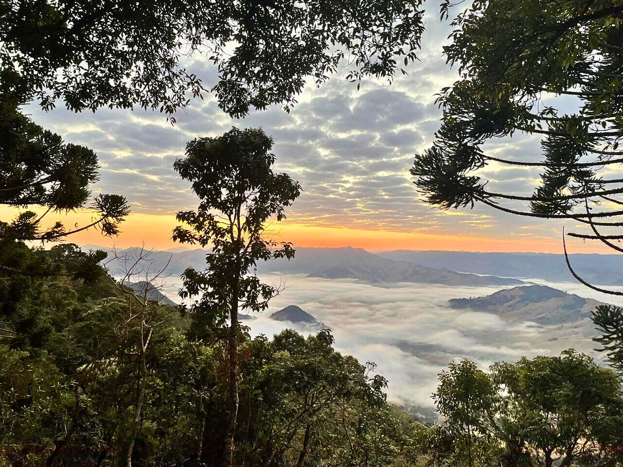 Casa, 4 quartos, 250 m² - Foto 23