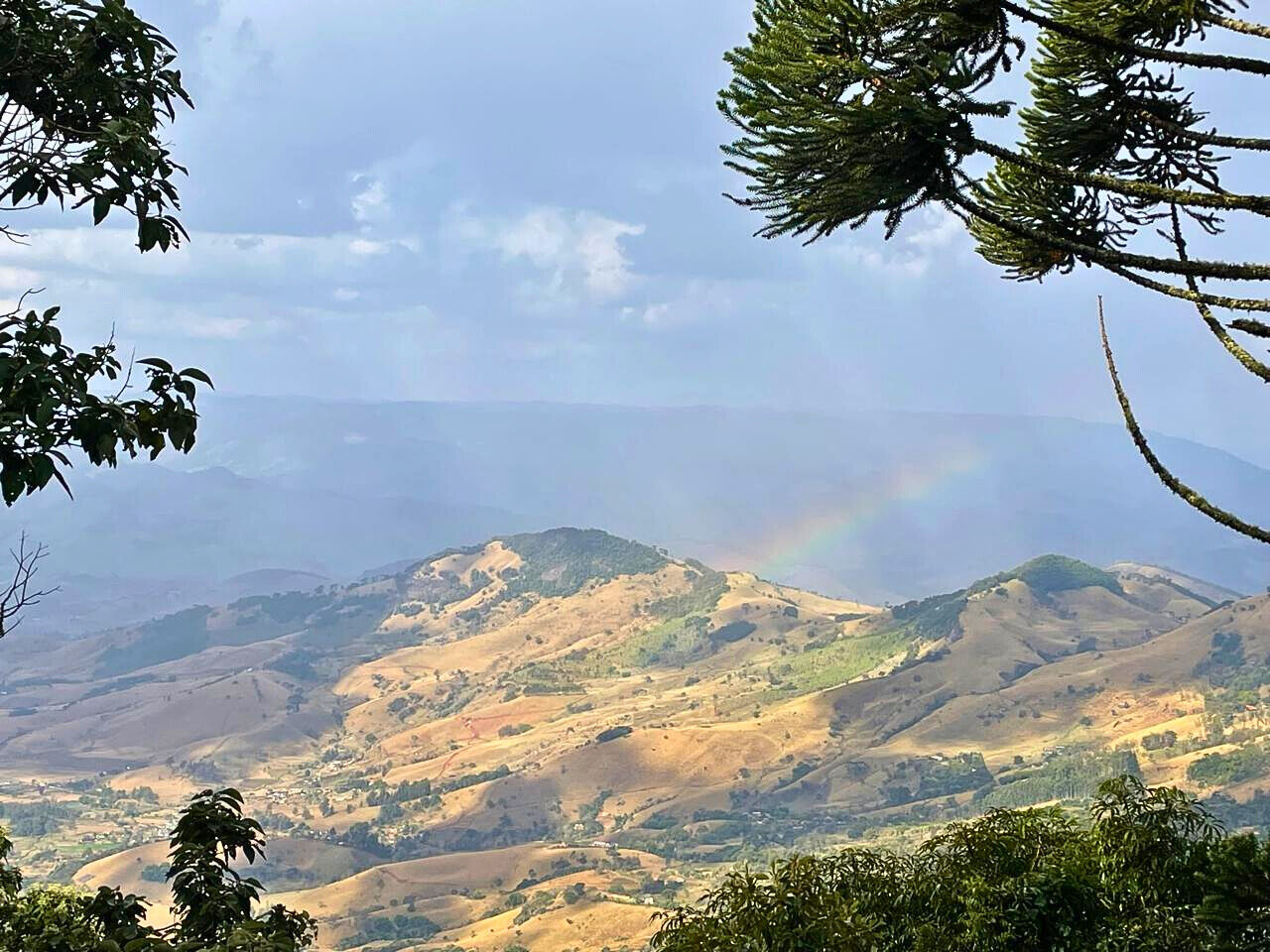 Casa, 4 quartos, 250 m² - Foto 18