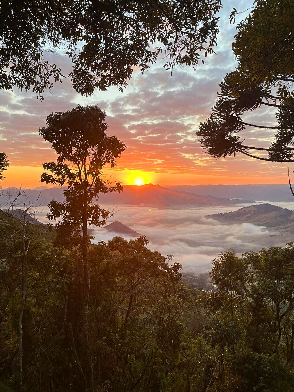 Casa, 4 quartos, 250 m² - Foto 20