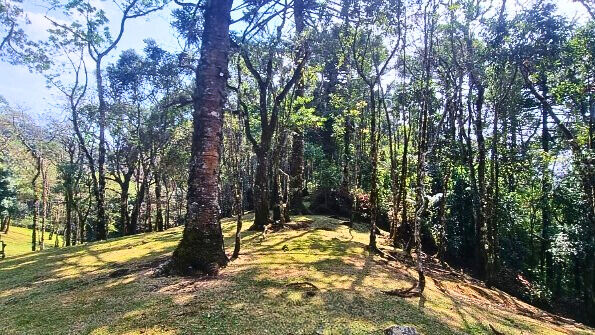 Casa, 4 quartos, 250 m² - Foto 15