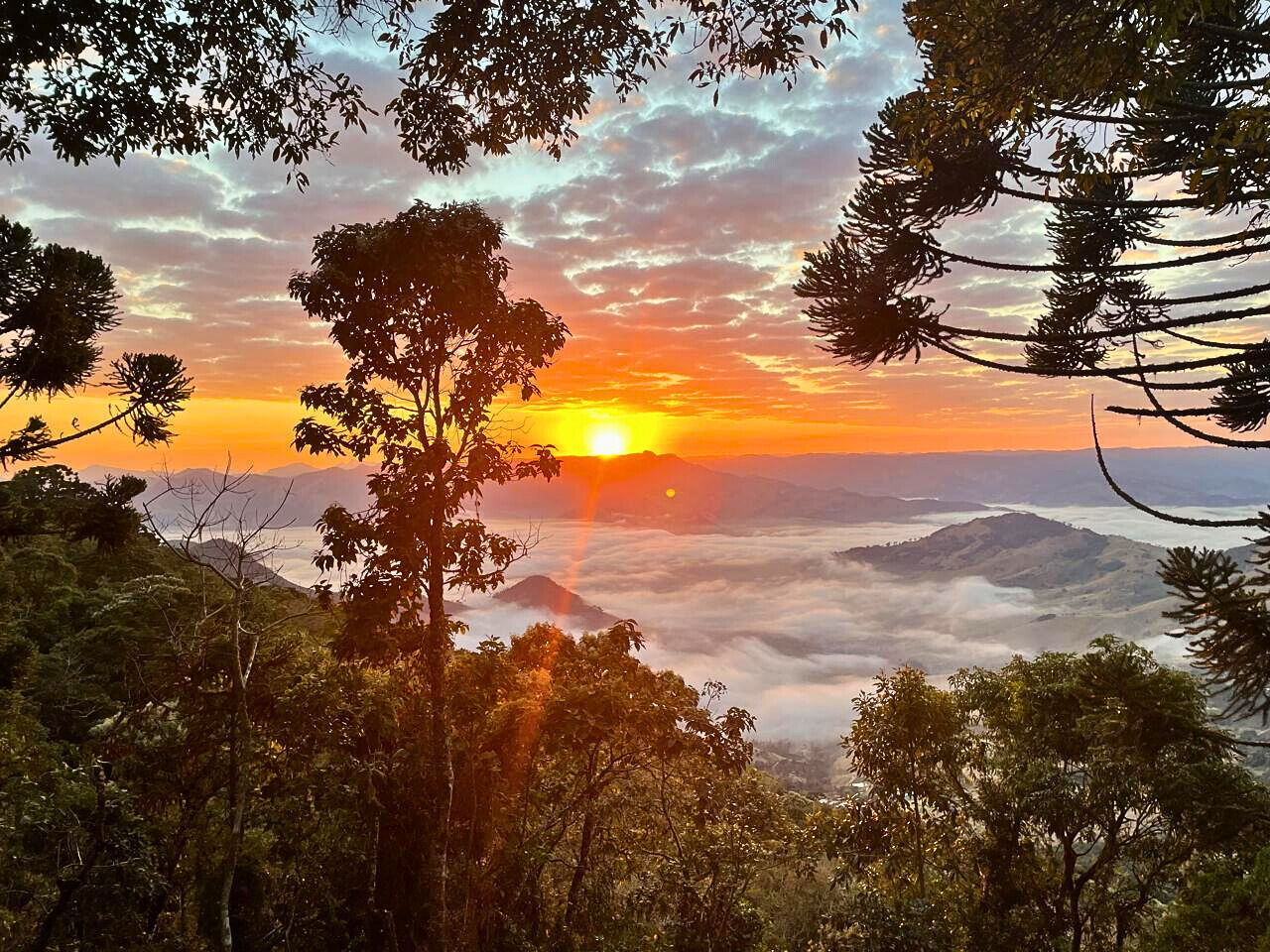 Casa, 4 quartos, 250 m² - Foto 19