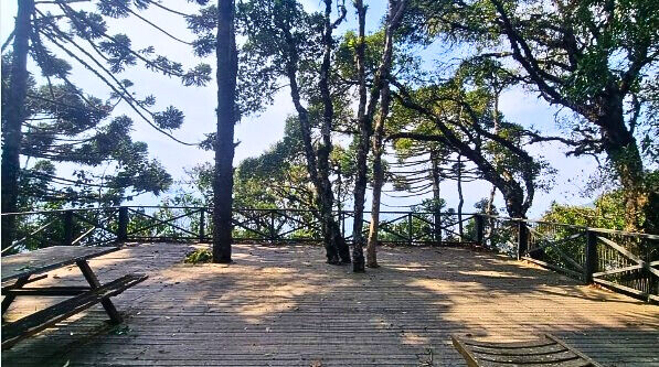 Casa, 4 quartos, 250 m² - Foto 17