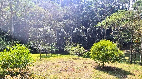 Casa, 4 quartos, 250 m² - Foto 16