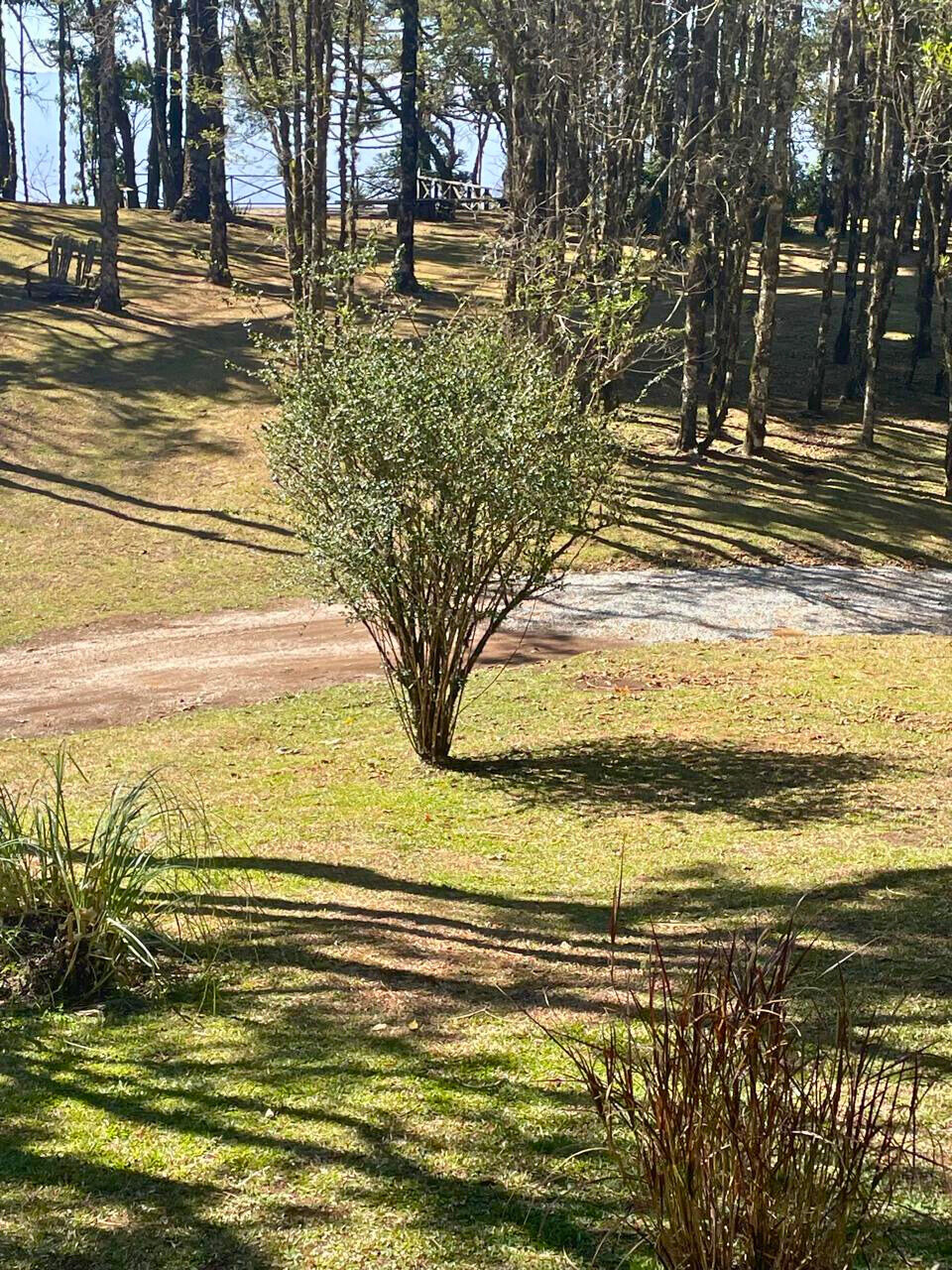 Casa, 4 quartos, 250 m² - Foto 14