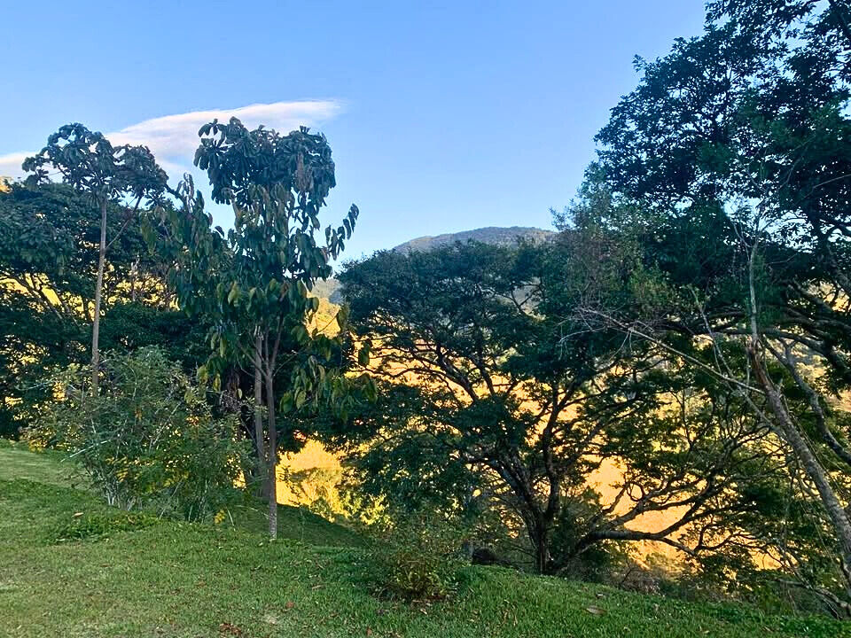 Chácara, 3 quartos, 9 hectares - Foto 32