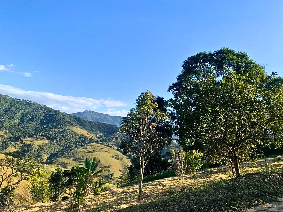 Chácara, 3 quartos, 9 hectares - Foto 26