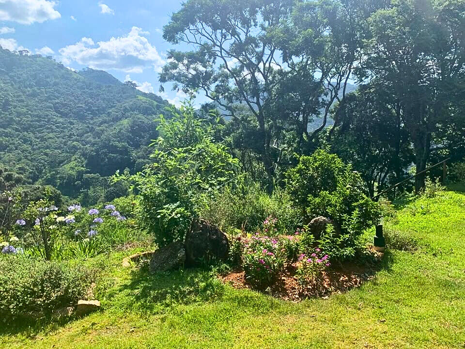 Chácara, 3 quartos, 9 hectares - Foto 30