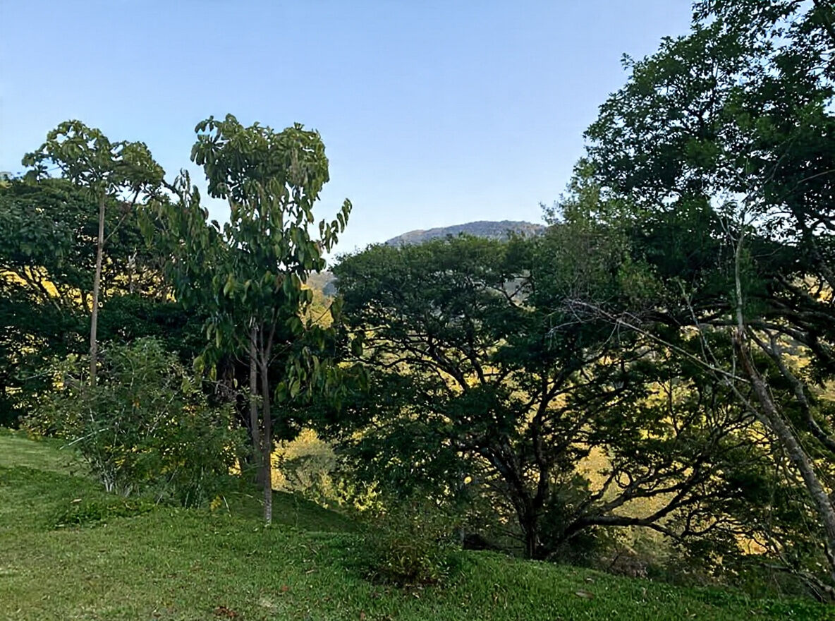 Casa, 3 quartos, 450 m² - Foto 28