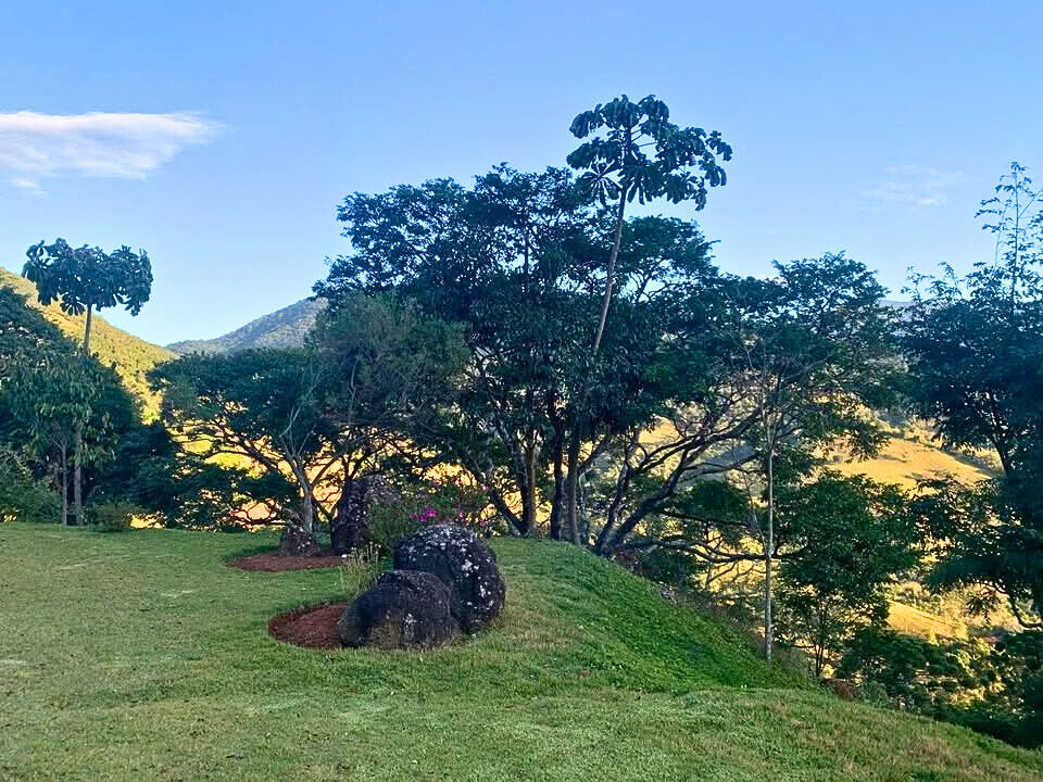 Chácara, 3 quartos, 9 hectares - Foto 31