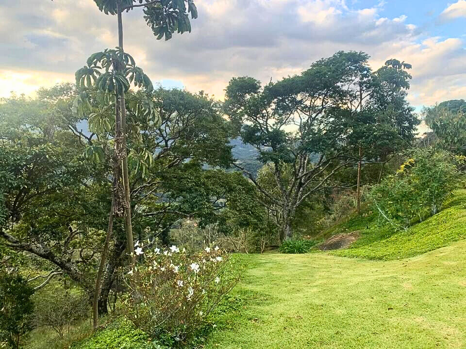 Chácara, 3 quartos, 9 hectares - Foto 25