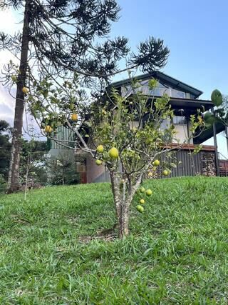 Casa, 2 quartos, 150 m² - Foto 42