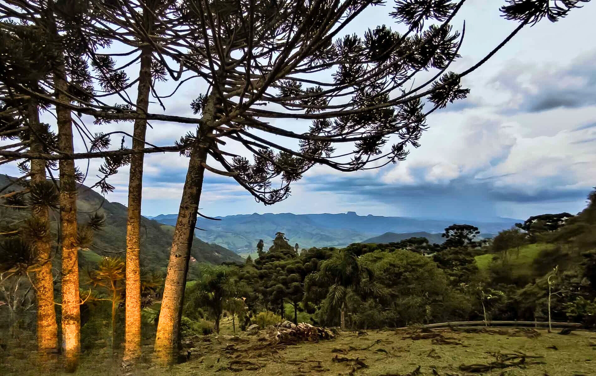 Casa, 2 quartos, 150 m² - Foto 3