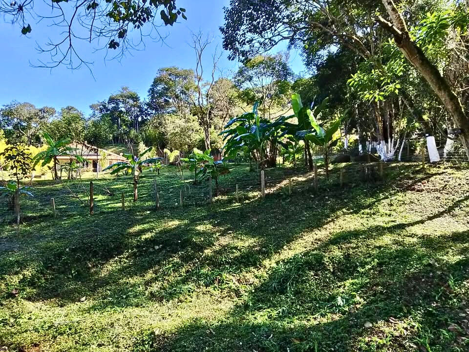 Sítio, 3 quartos, 9000 m² - Foto 8