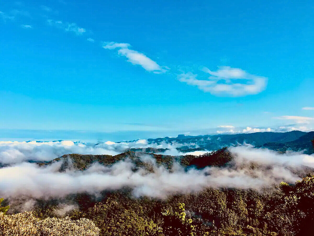 Casa, 4 quartos, 250 m² - Foto 17