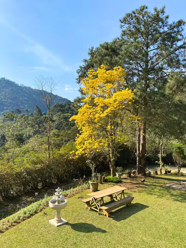 Casa, 4 quartos, 250 m² - Foto 25