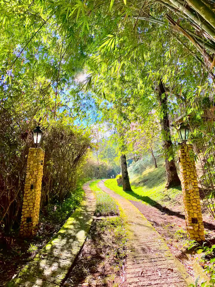 Casa, 4 quartos, 250 m² - Foto 11