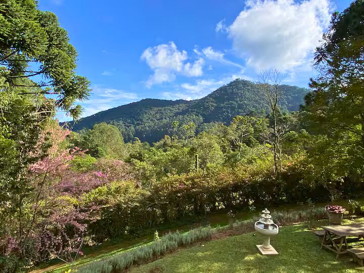 Casa, 4 quartos, 250 m² - Foto 28