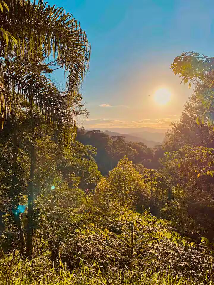 Casa, 4 quartos, 250 m² - Foto 32