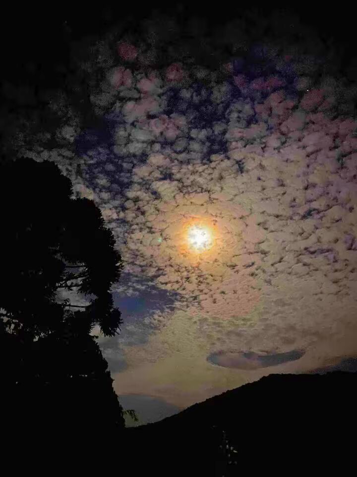 Casa, 4 quartos, 250 m² - Foto 21