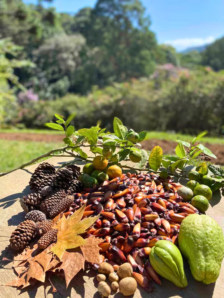 Casa, 4 quartos, 250 m² - Foto 16