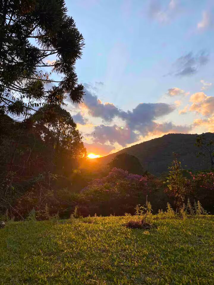 Casa, 4 quartos, 250 m² - Foto 27