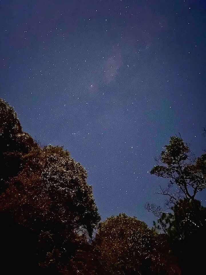 Casa, 4 quartos, 250 m² - Foto 22