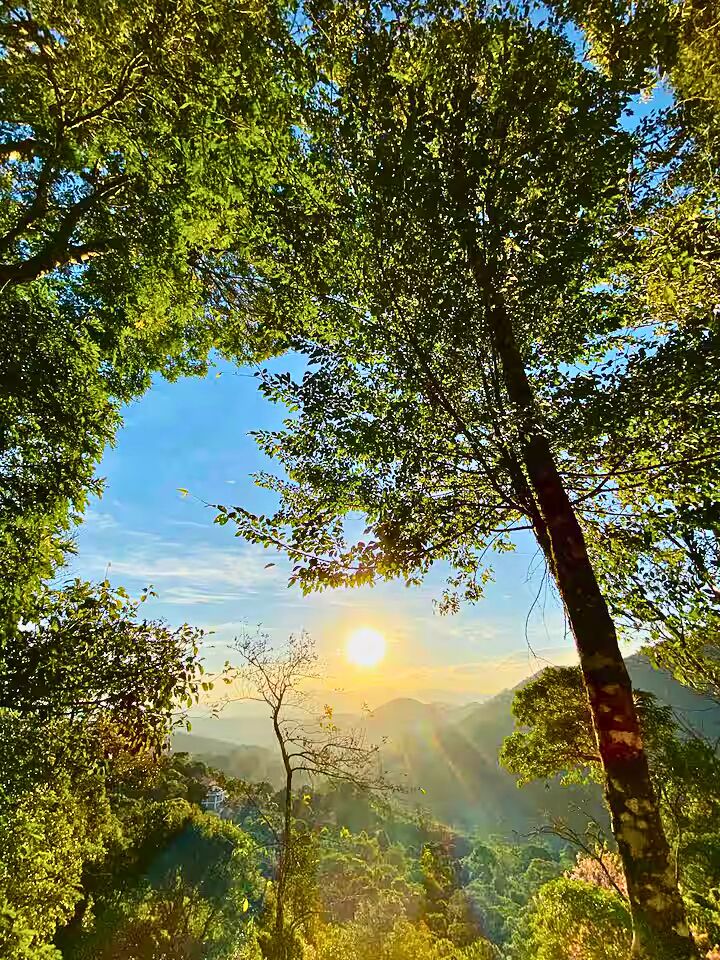 Casa, 4 quartos, 250 m² - Foto 35