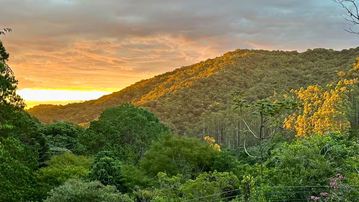 Casa, 4 quartos, 250 m² - Foto 26