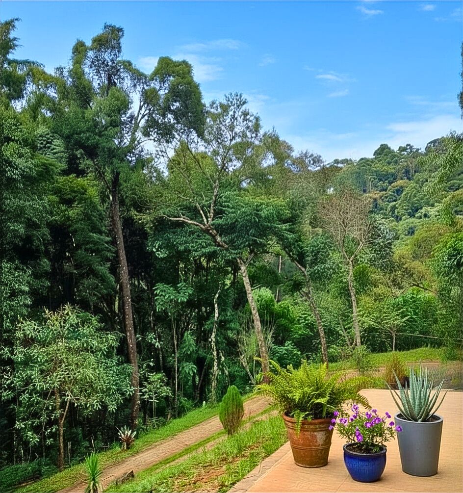 Casa, 4 quartos, 240 m² - Foto 25
