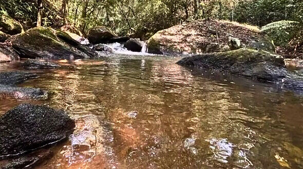 Casa, 3 quartos, 209 m² - Foto 6