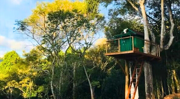 Casa, 3 quartos, 209 m² - Foto 7