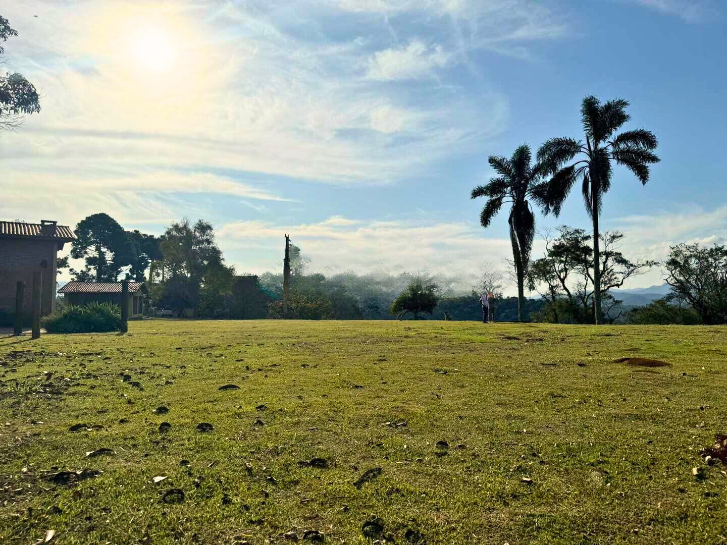 Chácara, 3 quartos, 5 hectares - Foto 14