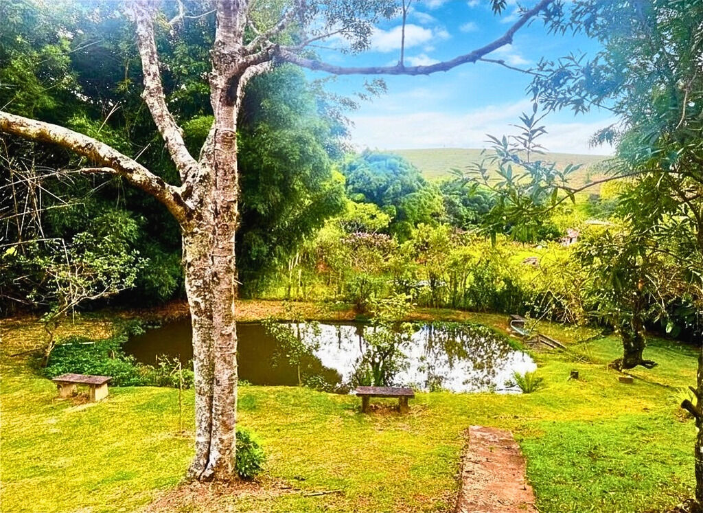 Sítio, 3 quartos, 4 hectares - Foto 49